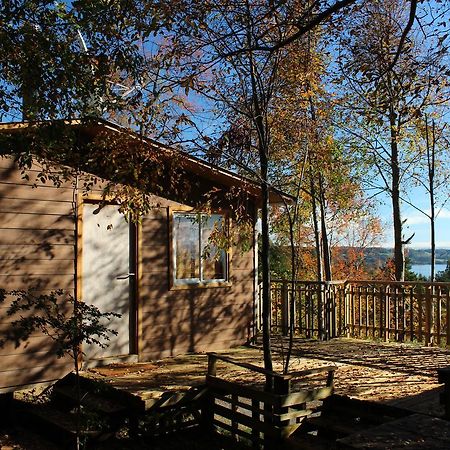 Cabanas Mas Ke Miel Población Población Lago Ranco Buitenkant foto