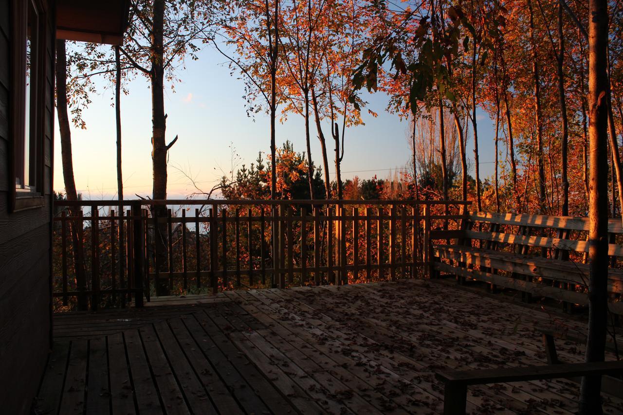 Cabanas Mas Ke Miel Población Población Lago Ranco Buitenkant foto